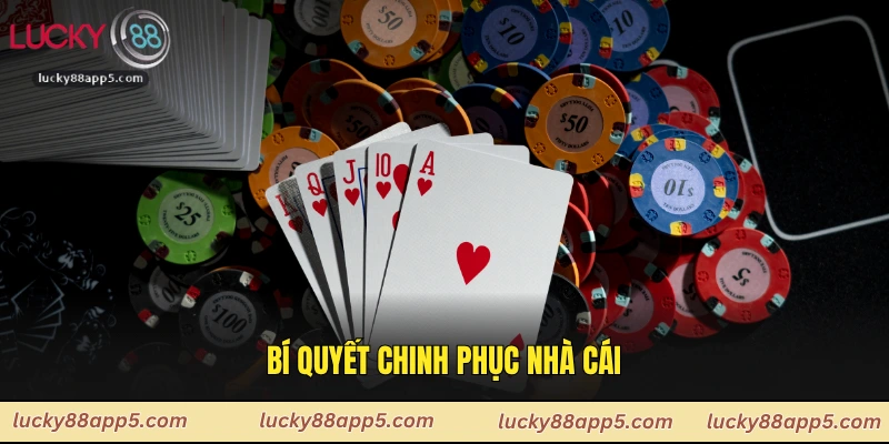Bí quyết chinh phục nhà cái