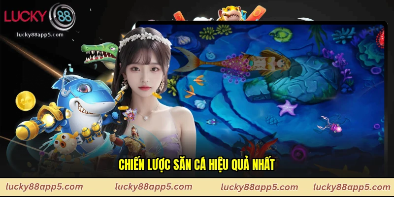 Chiến lược săn cá hiệu quả nhất