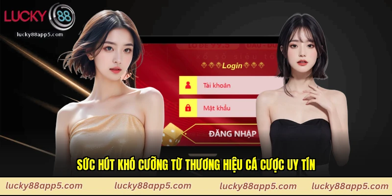 Sức hút khó cưỡng từ thương hiệu cá cược uy tín